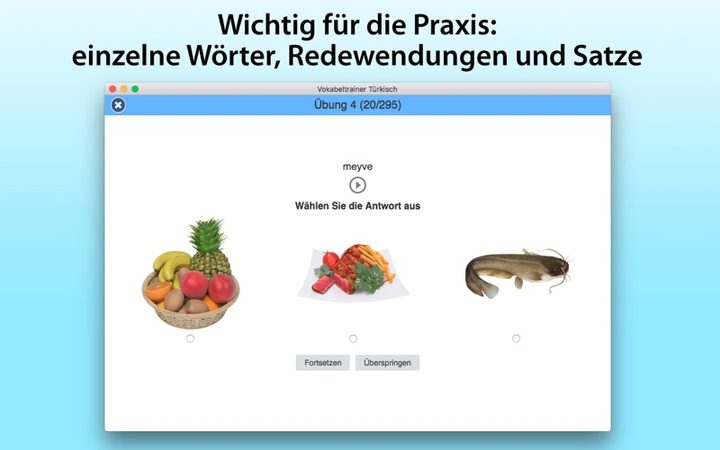 Vokabeltrainer Türkisch – Bildschirmfoto 2