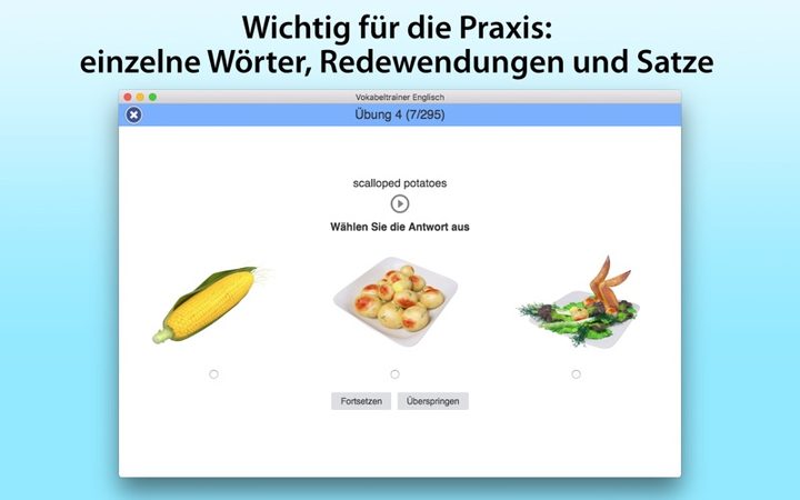 Vokabeltrainer Englisch – Bildschirmfoto 2