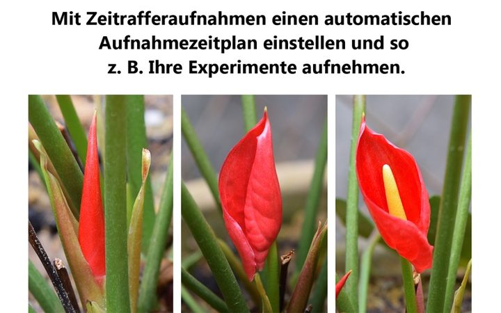 JOURIST Visualizer – Bildschirmfoto 4